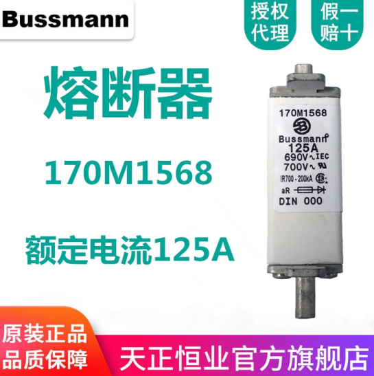bussmann 歐標(biāo)方體熔斷器 170M1568 bussmann 歐標(biāo)方體熔斷器 170M1568